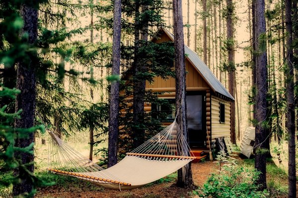Pourquoi choisir une cabane dans les arbres pour une nuit  entre amoureux ?